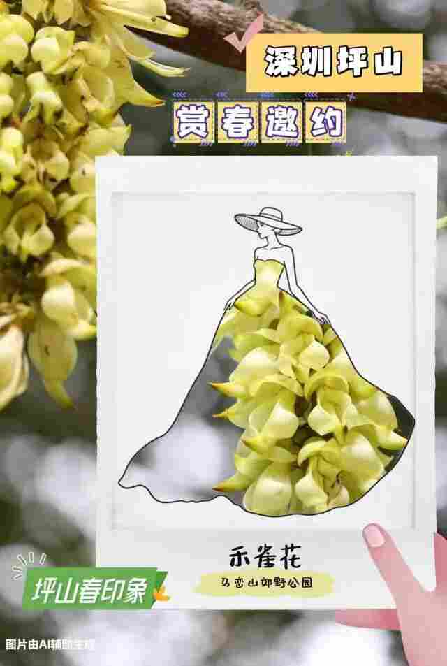 深圳坪山“四季文旅”IP,体验经济如何为游客打开情绪出口? 深圳坪山“四季文旅”IP,体验经济如何为游客打开情绪出口?